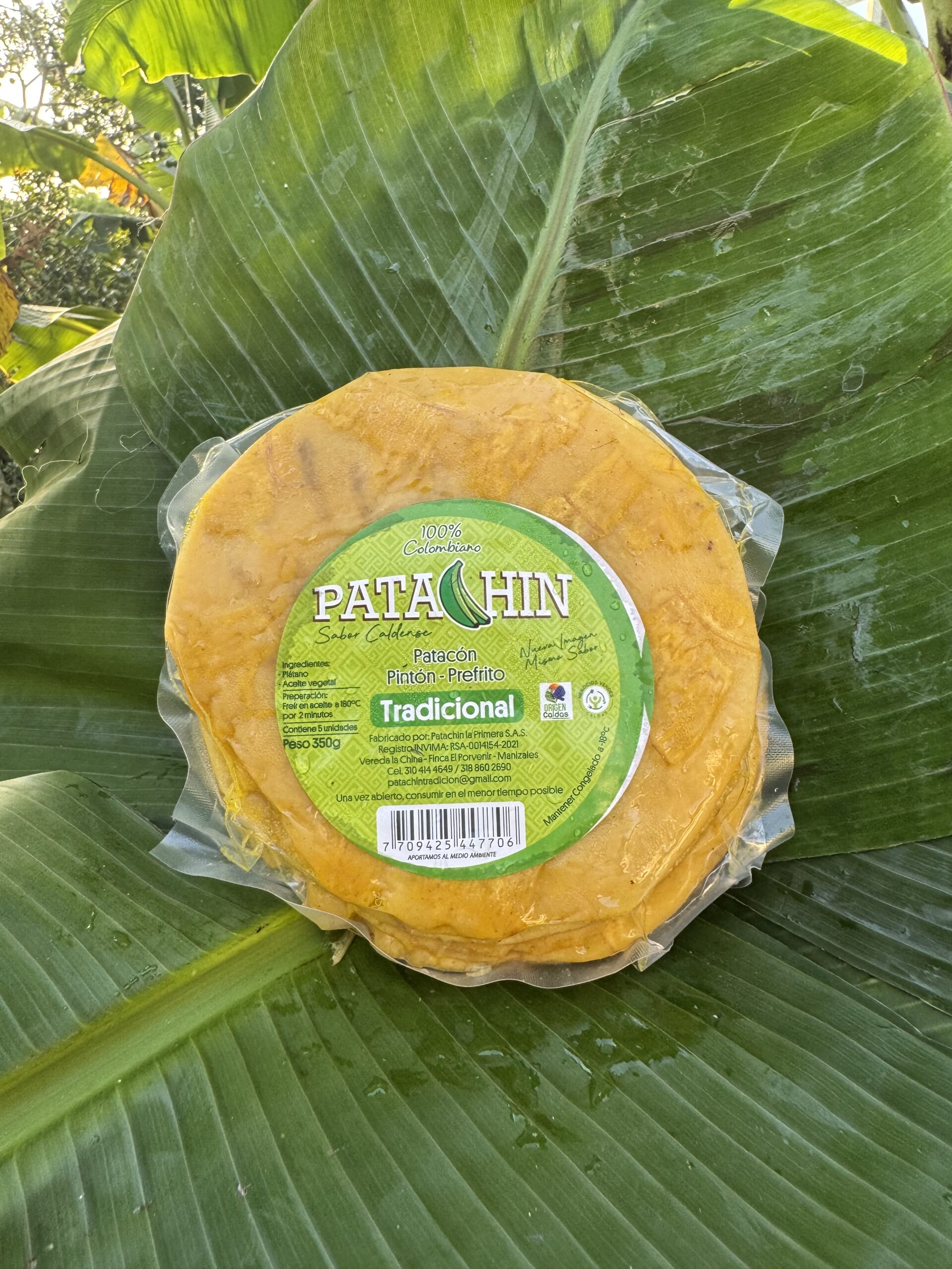 Patacon